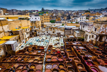 Fes Medina Full Day Guided Tour