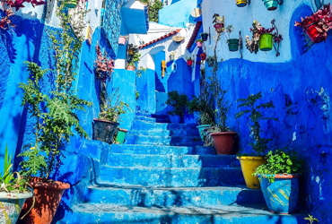 Magical Day Trip to Chefchaouen From Fes